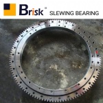 DH55-5 slewing bearing