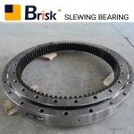 EX120 slewing bearing