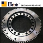 EX300-2 slewing bearing