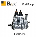 PC300 Fuel pump
